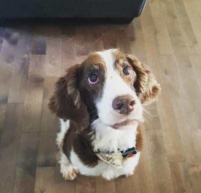 Jixie
