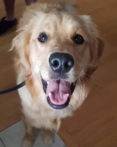 Finn