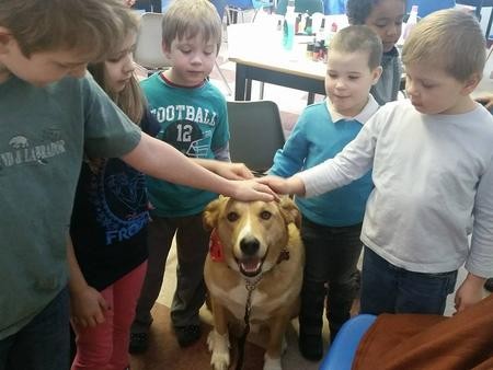 Cooper the Medium Yellow Rescue Dog Enjoys Being Pet by Children During a Visit at EduCare Montessori
