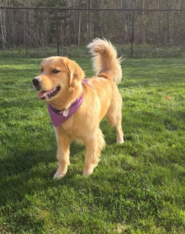 Maggie-